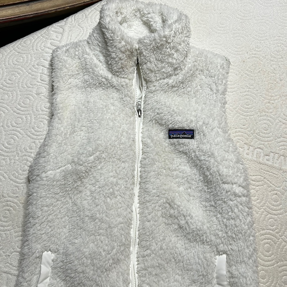 Patagonia fleece vest